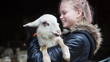 Lammetjesmiddag